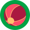Donación de Pelotas